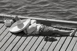 Man sleeping with a large sombrero at the Belcarra Regional Park picnic area