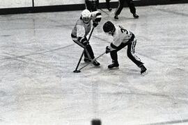 Ringette tournament at PoCo Recreation Centre