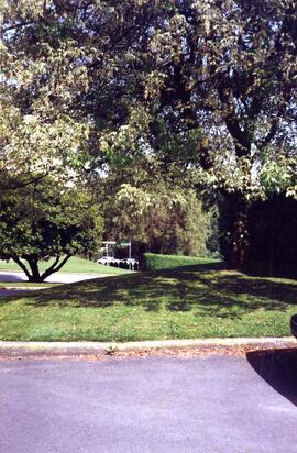 Flowering trees on the Riverview grounds