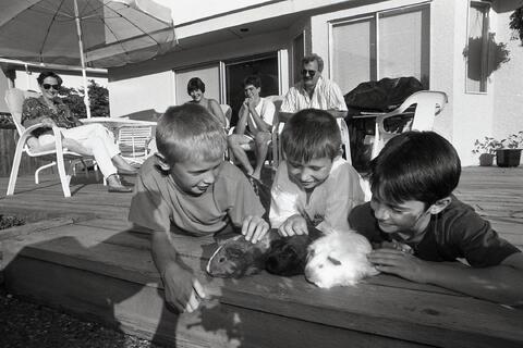Open original Photographs and Documents