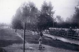 Blue Mountain Park