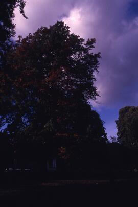 Riverview grounds in autumn