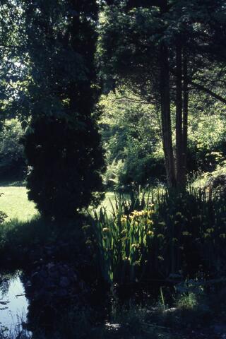 Open original Photographs and Documents