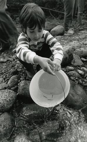 Open original Photographs and Documents
