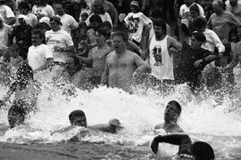 Penquin swim at Reed Point Marina in Port Moody