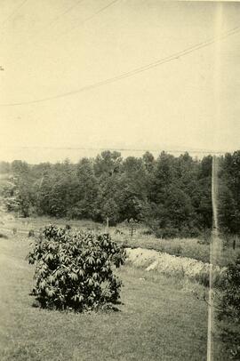 Bush on Essondale grounds
