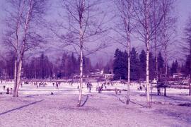 Ice skating on Como Lake