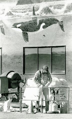 Open original Photographs and Documents