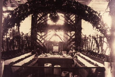 Open original Photographs and Documents