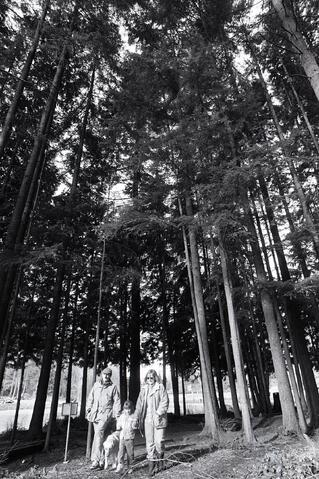 Open original Photographs and Documents