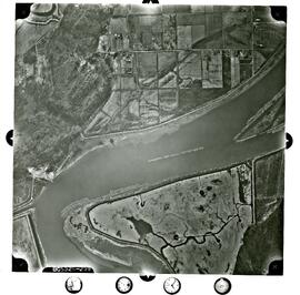 Flight Path #5 - BC5325-239