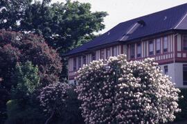 Building on the Riverview grounds