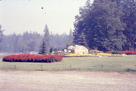Open original Photographs and Documents