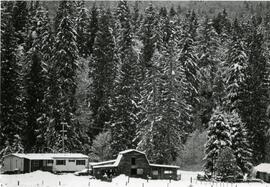 Old barn in a snowy forest
