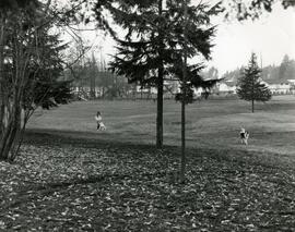 Miller Park looking toward south lane
