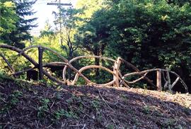 Wooden fence on the Riverview grounds