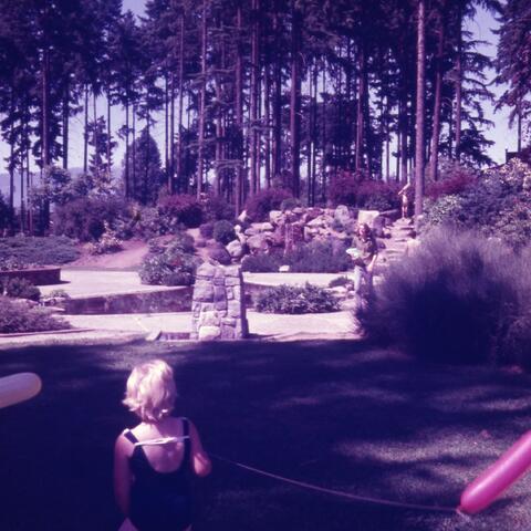 Open original Photographs and Documents