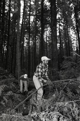 Pleasant side walking trail. (End of April str). Community clean up project - Dave Stuart and Brian Ferrance. Taking axes to tree stumps!