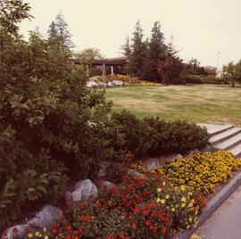 Social Recreation Centre