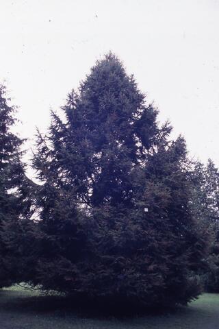 Open original Photographs and Documents