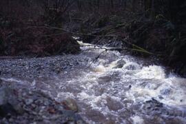 Flooding in Coquitlam in the spring of 1997