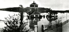 Flood at Colony Farm