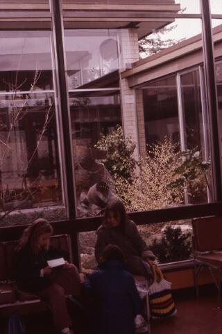 Open original Photographs and Documents