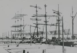 Fraser Mills, Schooners