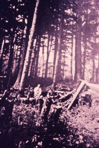 Open original Photographs and Documents