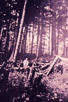 Man in the woods