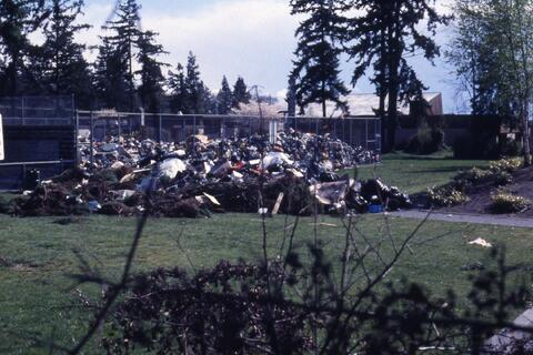 Open original Photographs and Documents