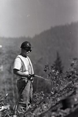 Mike Norton waters some of the 600 shrubs and bushes that have been planted along the escarpment above the new Barnet highway expansion