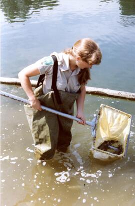 Scooping fish at LaFarge Lake