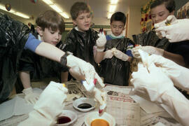 Roys Stibbs Elementary School doing a project on colour