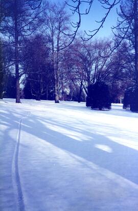 Riverview grounds in winter