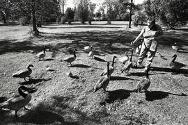 Mike and Gidget Guillemette feeding birds at Como Lake Park