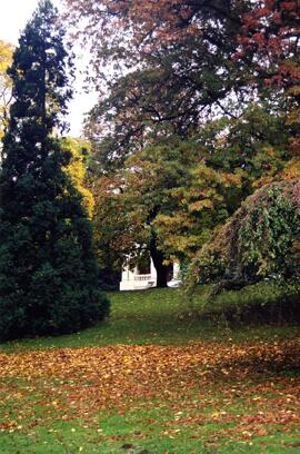Riverview grounds in autumn
