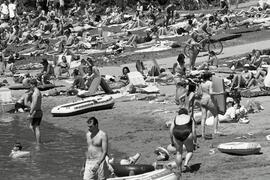 White Pine Beach