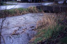 Flooding in Coquitlam in the spring of 1997
