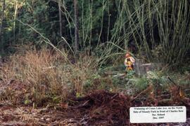 Widening of Como Lake Avenue