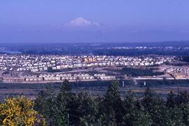View of Coquitlam with Scotch broom