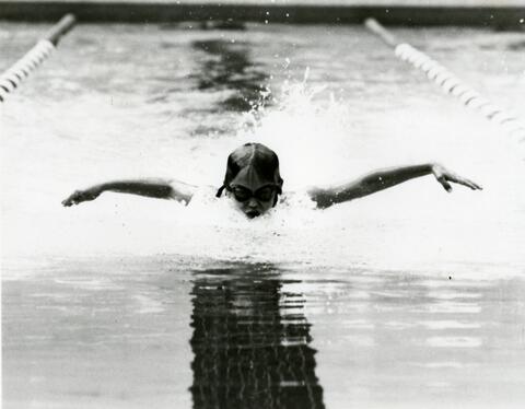 Open original Photographs and Documents