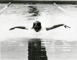 Swimming finals at Westhill Pool