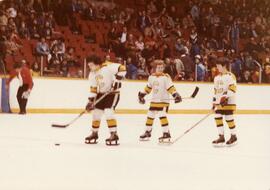 Minor League Hockey