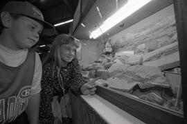 Rock and Gem Show at the Port Moody Rec Centre