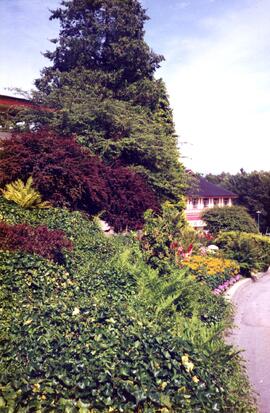 Riverview grounds