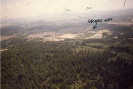 Aerial of Westwood Plateau tree cover