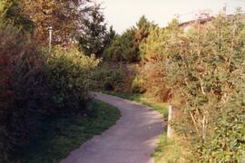 Park in Coquitlam