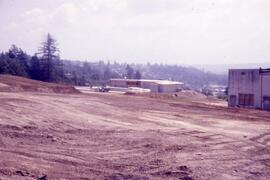 Rochester Park playing field