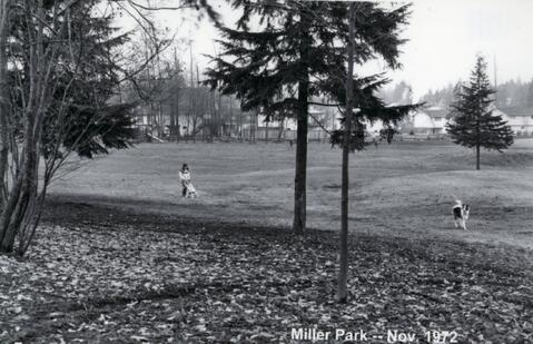 Open original Photographs and Documents